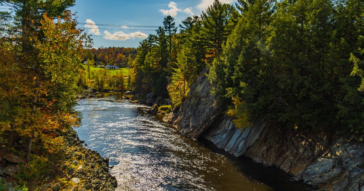 Two glasses of warm wassail punch
